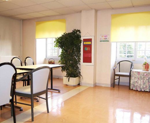 Pose de store intérieur decoroll à Saint-Symphorien-d'Ozon et sa région